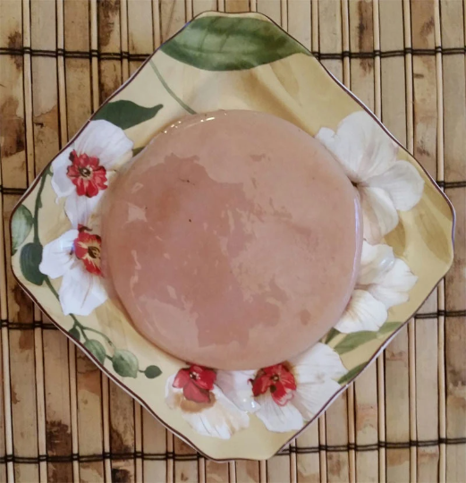 Kombucha Scoby With Starter Tea