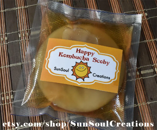 Kombucha Scoby With Starter Tea