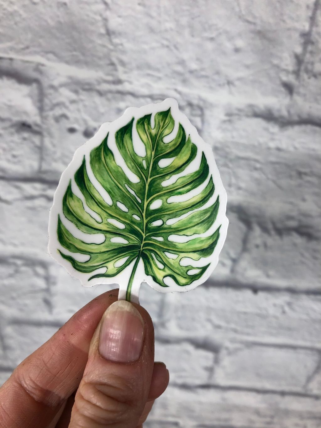 Monstera Deliciosa Leaf Vinyl Sticker