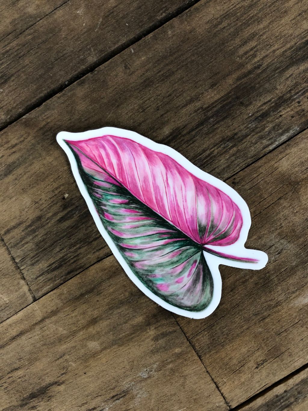Philodendron 'Pink Princess' Leaf Vinyl Sticker