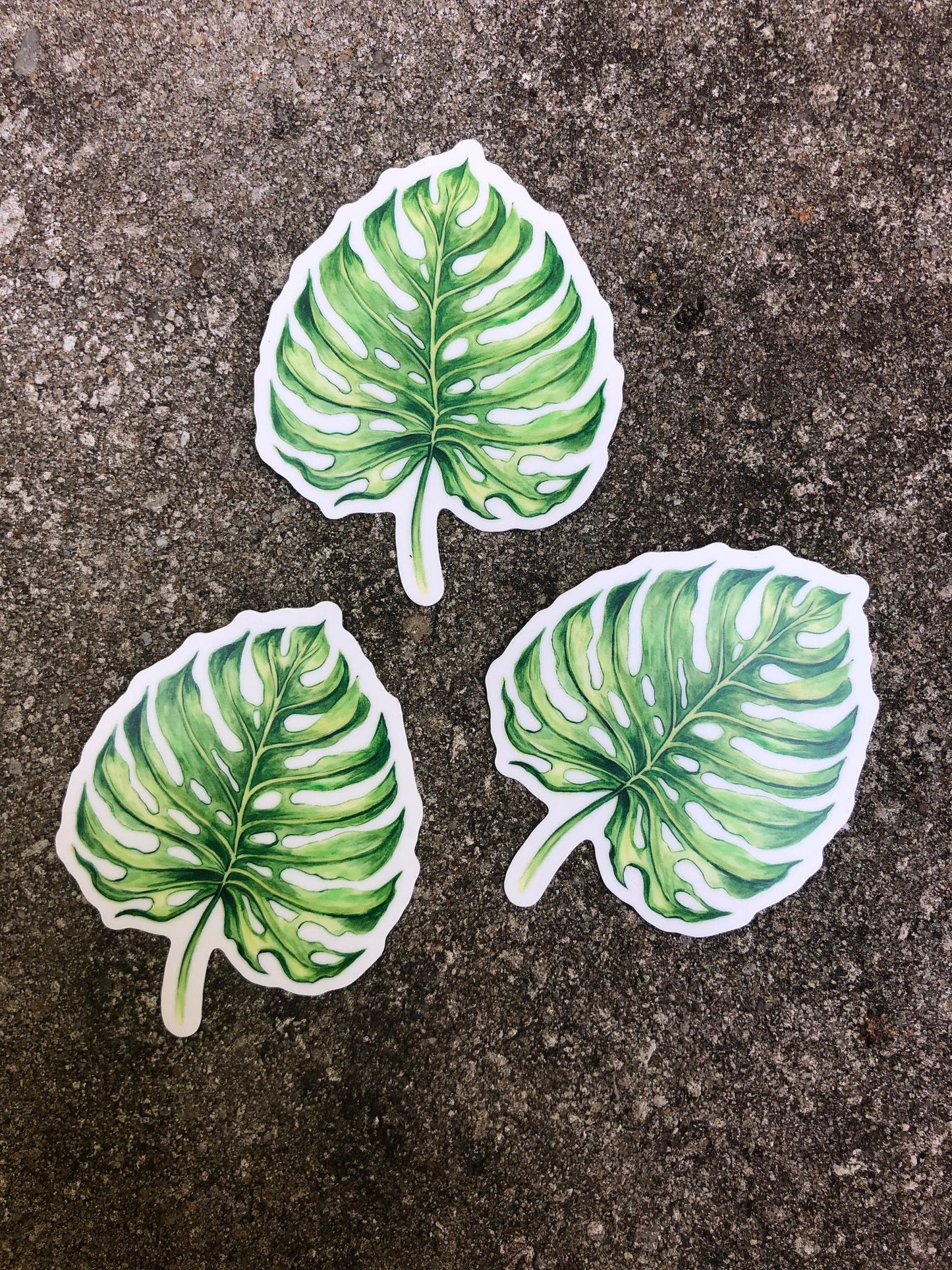 Monstera Deliciosa Leaf Vinyl Sticker