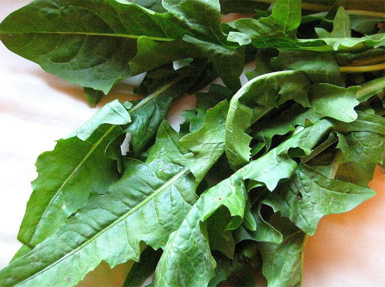 Dandelion Leaf - ORGANIC - 1 ounce