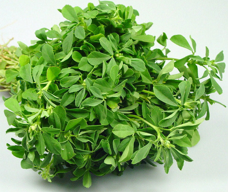 Fenugreek Seeds - ORGANIC - 2 ounces