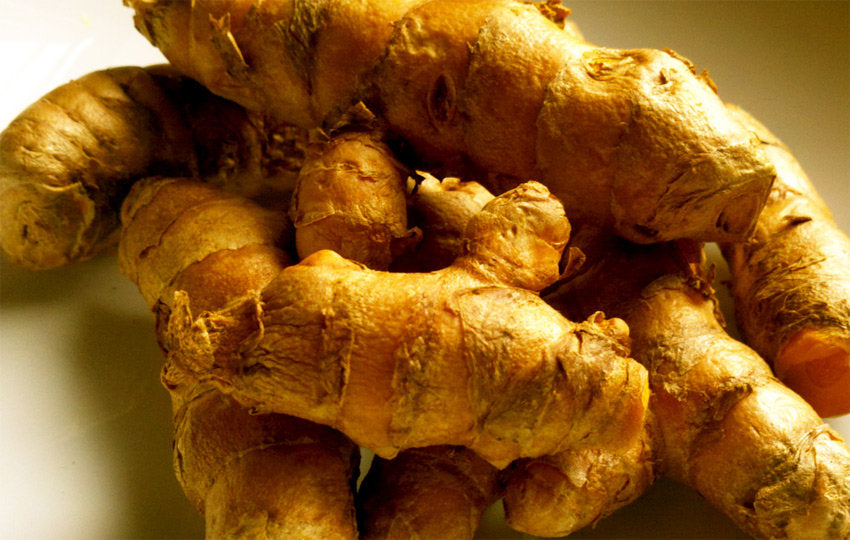 Turmeric Root - ORGANIC - 2 ounces