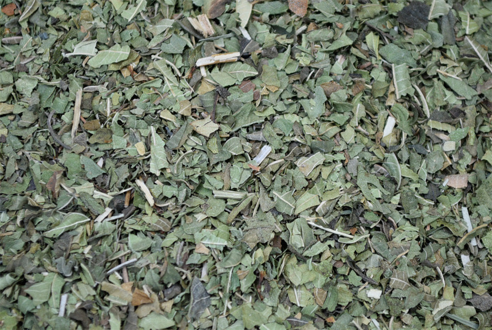 Lemon Verbena - ORGANIC - 1 ounce
