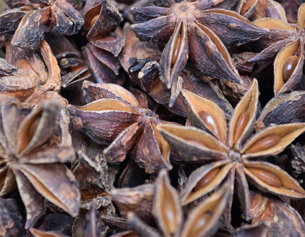 Star Anise - ORGANIC - 2 ounces