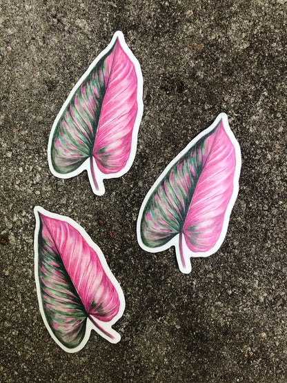 Philodendron 'Pink Princess' Leaf Vinyl Sticker
