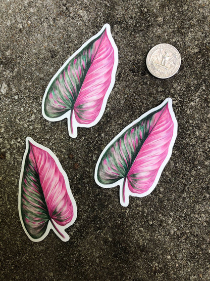 Philodendron 'Pink Princess' Leaf Vinyl Sticker