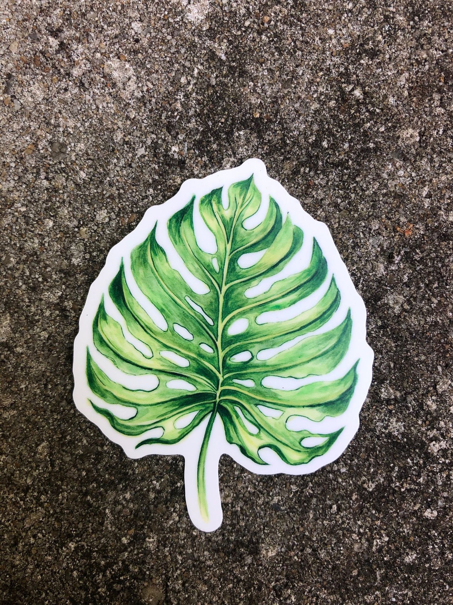Monstera Deliciosa Leaf Vinyl Sticker