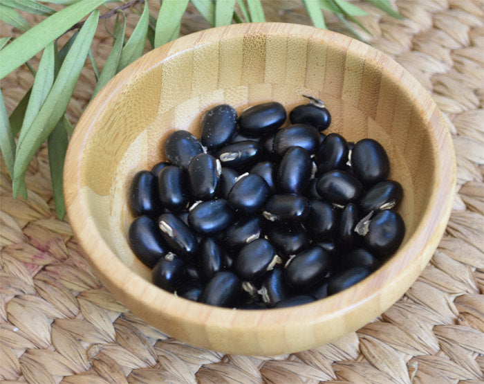 Black Mucuna Pruriens Organic Seeds - 20+ seeds