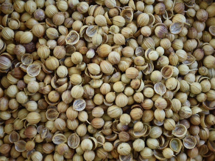 Coriander Seeds - ORGANIC - 2 ounces