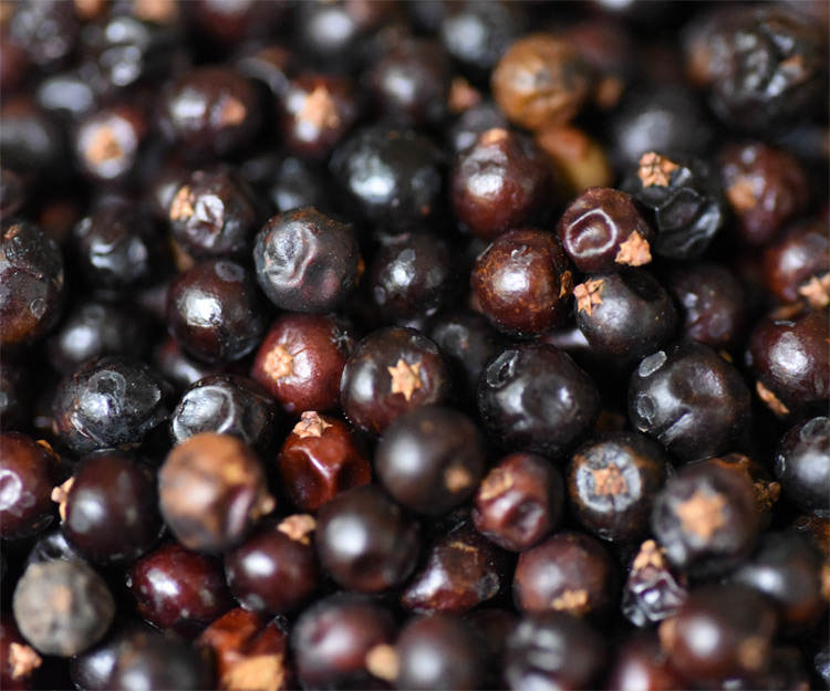 Juniper Berries - ORGANIC - 2 ounces