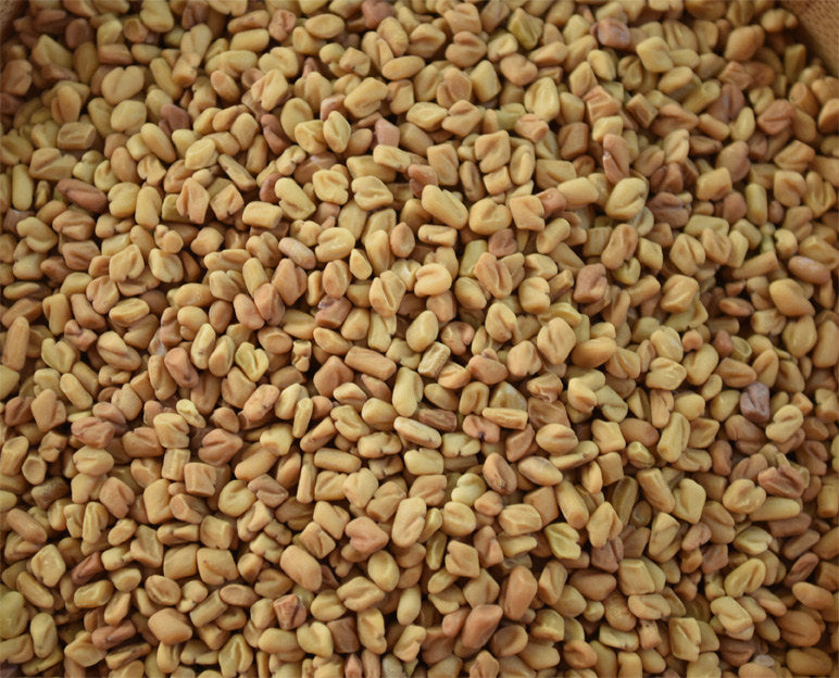 Fenugreek Seeds - ORGANIC - 2 ounces